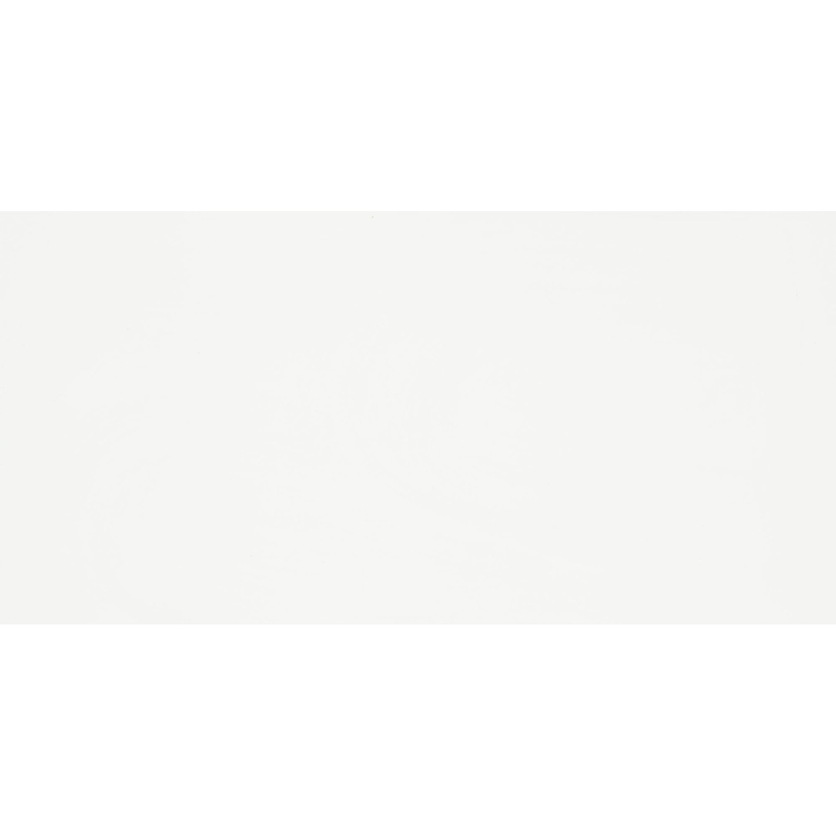 Bild 1 von Wandfliese 'Anna' Steingut weiß glänzend 30 x 60 cm