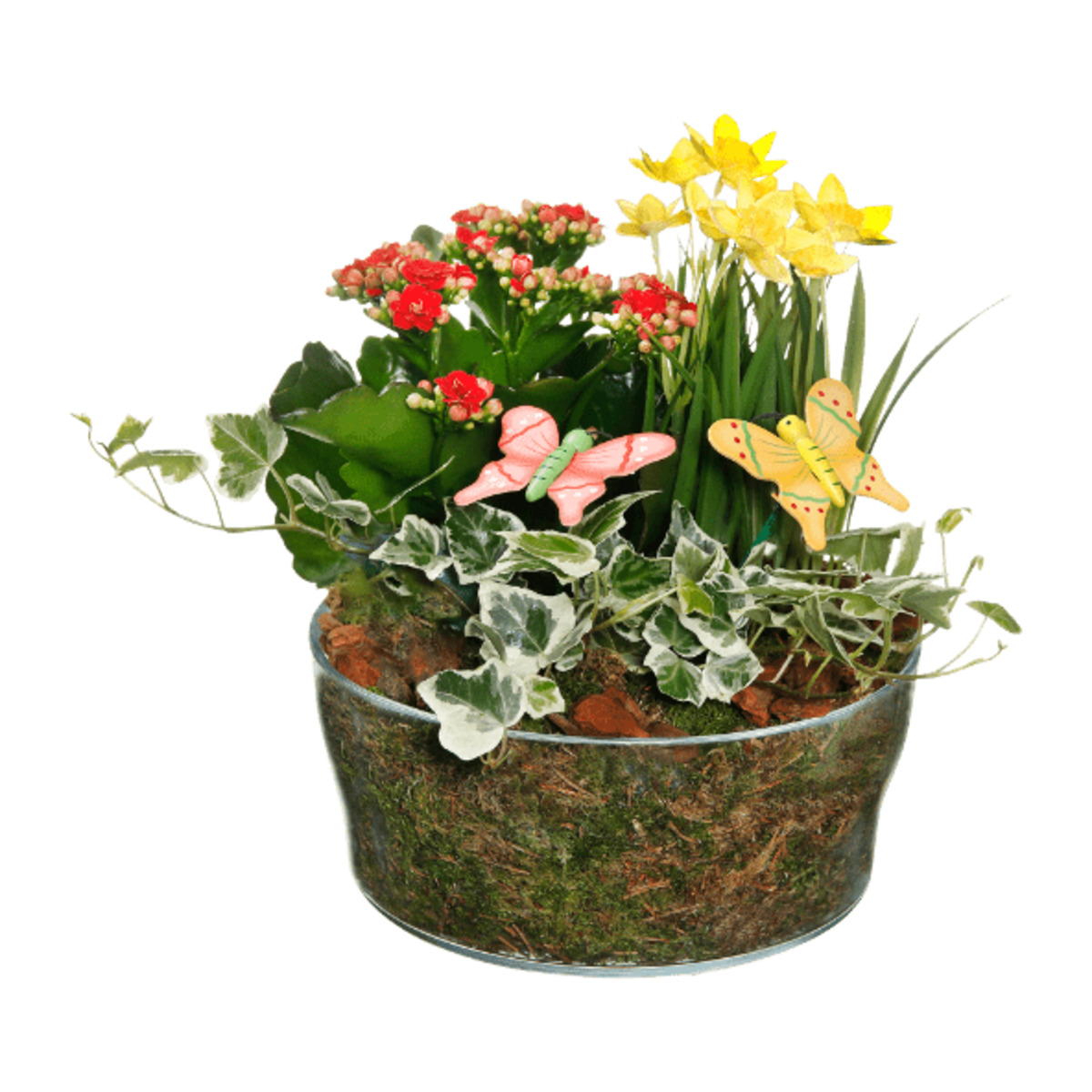 Bild 4 von GARDENLINE Frühlingsschale