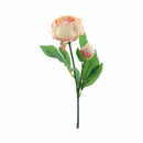 Bild 1 von Deko-Blume Pfingstrose peach-pink 50 cm