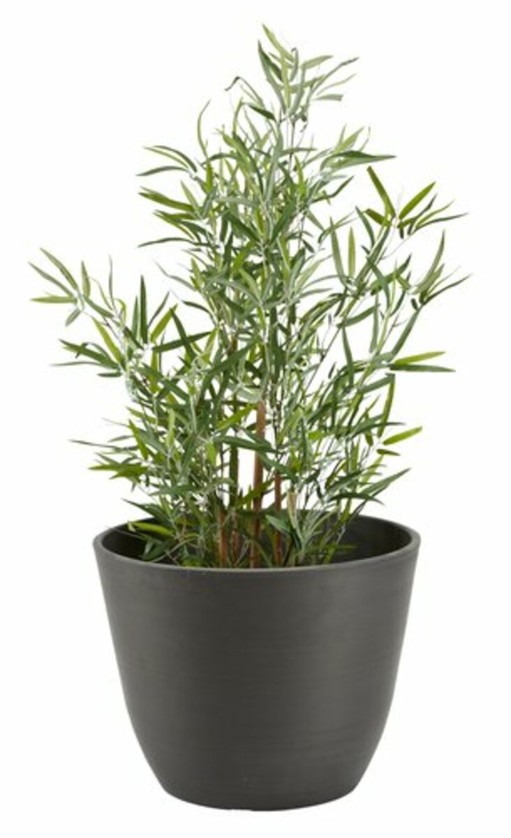 Bild 1 von Pflanzkübel HVEPS Ø41xH33 grau