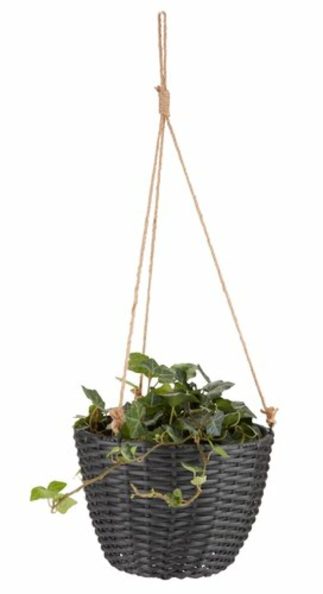 Bild 3 von Blumenampel STORSKARV Ø27xH19 div.