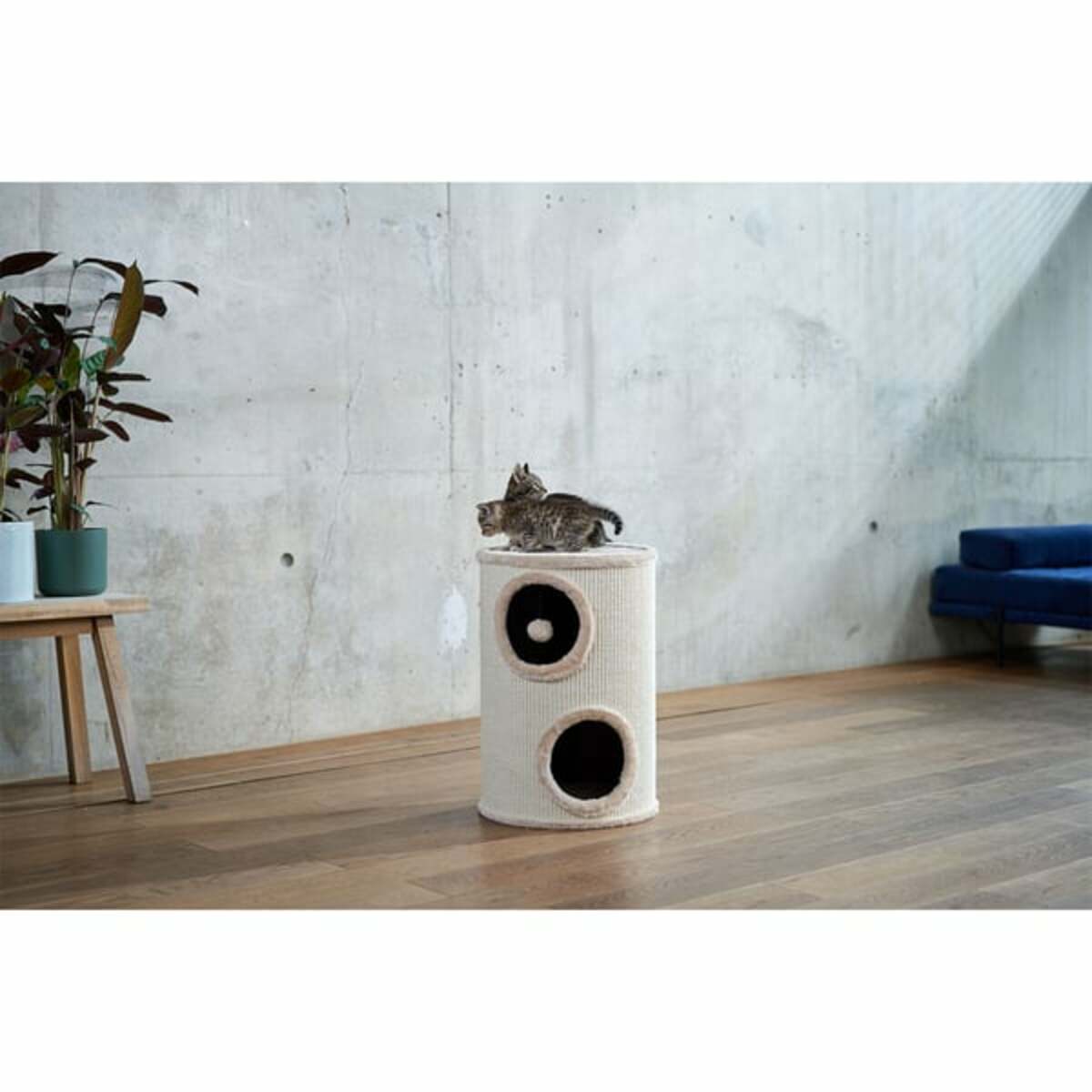 Bild 4 von ZooRoyal Kratztonne Alma 56 cm creme/beige