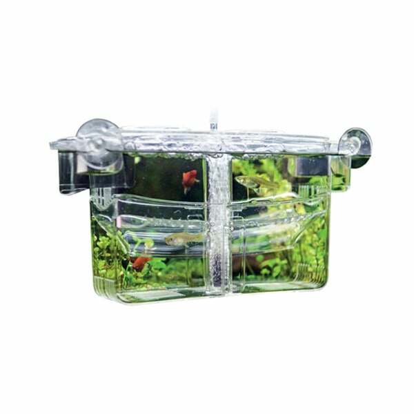 Bild 2 von Hobby Ablaichbehälter Nido 4 13 x 10 x 11,5 cm