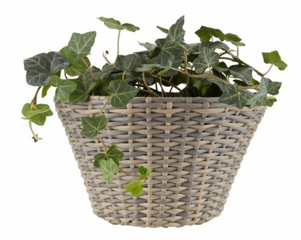 Bild 3 von Blumenampel REDDIK B18xL30xH18 div.