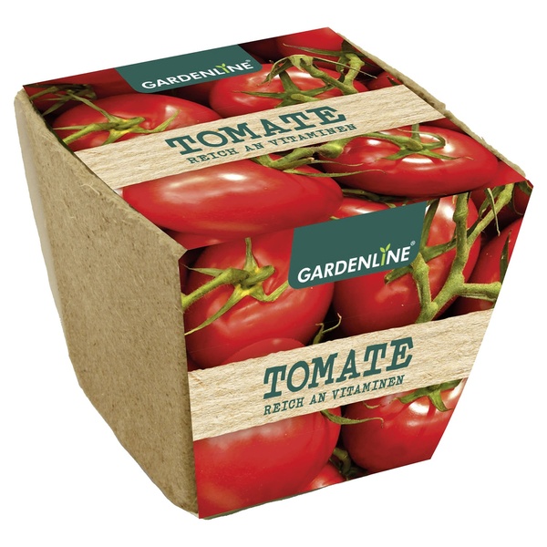 Bild 4 von GARDENLINE Anzuchtset mit Saatgut