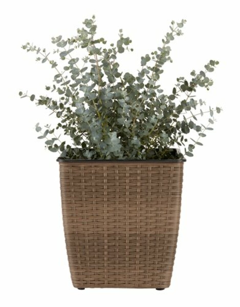 Bild 3 von Pflanzkorb ISLOM 31x31x32 div.