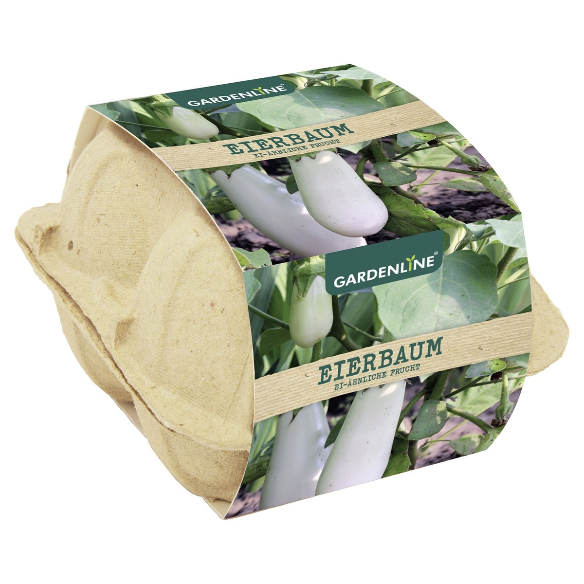Bild 3 von GARDENLINE Anzuchtset mit Saatgut