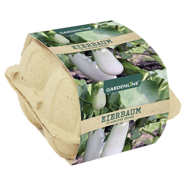 Bild 3 von GARDENLINE Anzuchtset mit Saatgut