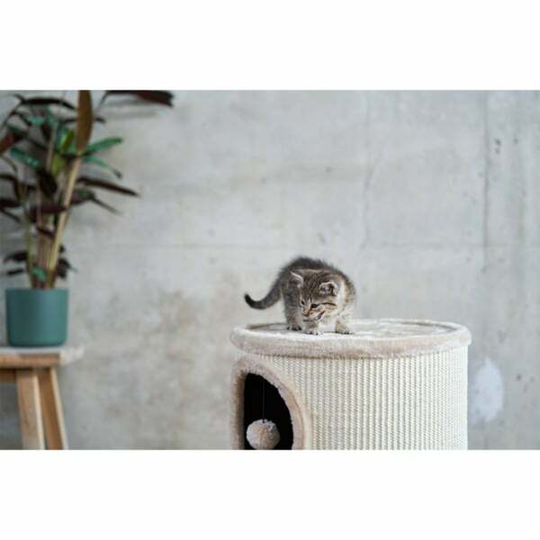 Bild 3 von ZooRoyal Kratztonne Alma 56 cm creme/beige