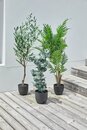 Bild 2 von Kunstpflanze RIPA H90cm grüner Eucalyptus