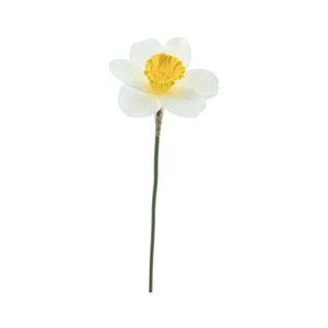 Deko-Blume Narzisse 41 cm gelb-weiß