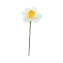 Bild 1 von Deko-Blume Narzisse 41 cm gelb-weiß