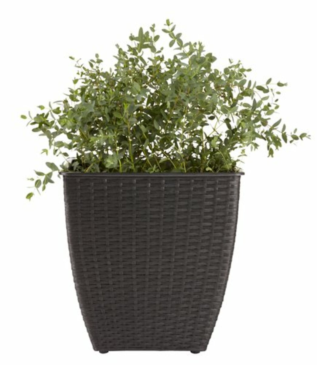 Bild 3 von Pflanzkorb ISLOM 38x38x39 div.