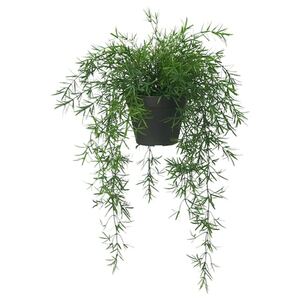 FEJKA  Topfpflanze, künstlich, drinnen/draußen Zierspargel/hängend 12 cm