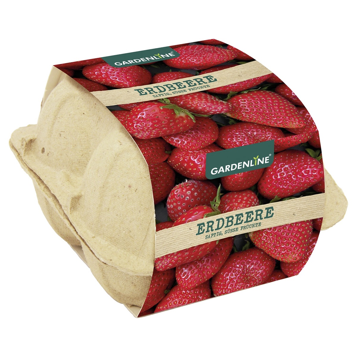 Bild 4 von GARDENLINE Anzuchtset mit Saatgut