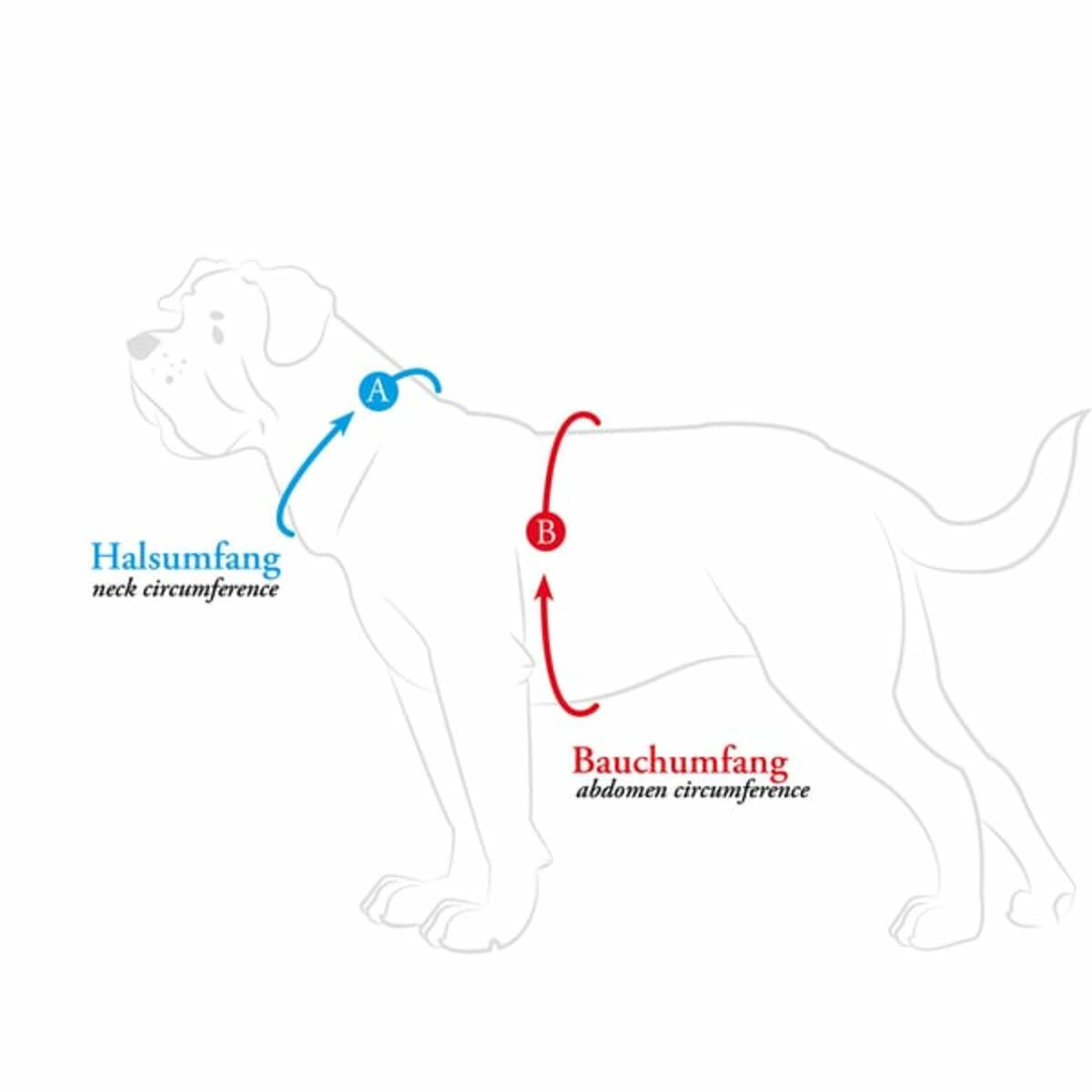 Bild 4 von Hunter Geschirr Hilo Comfort braun XS