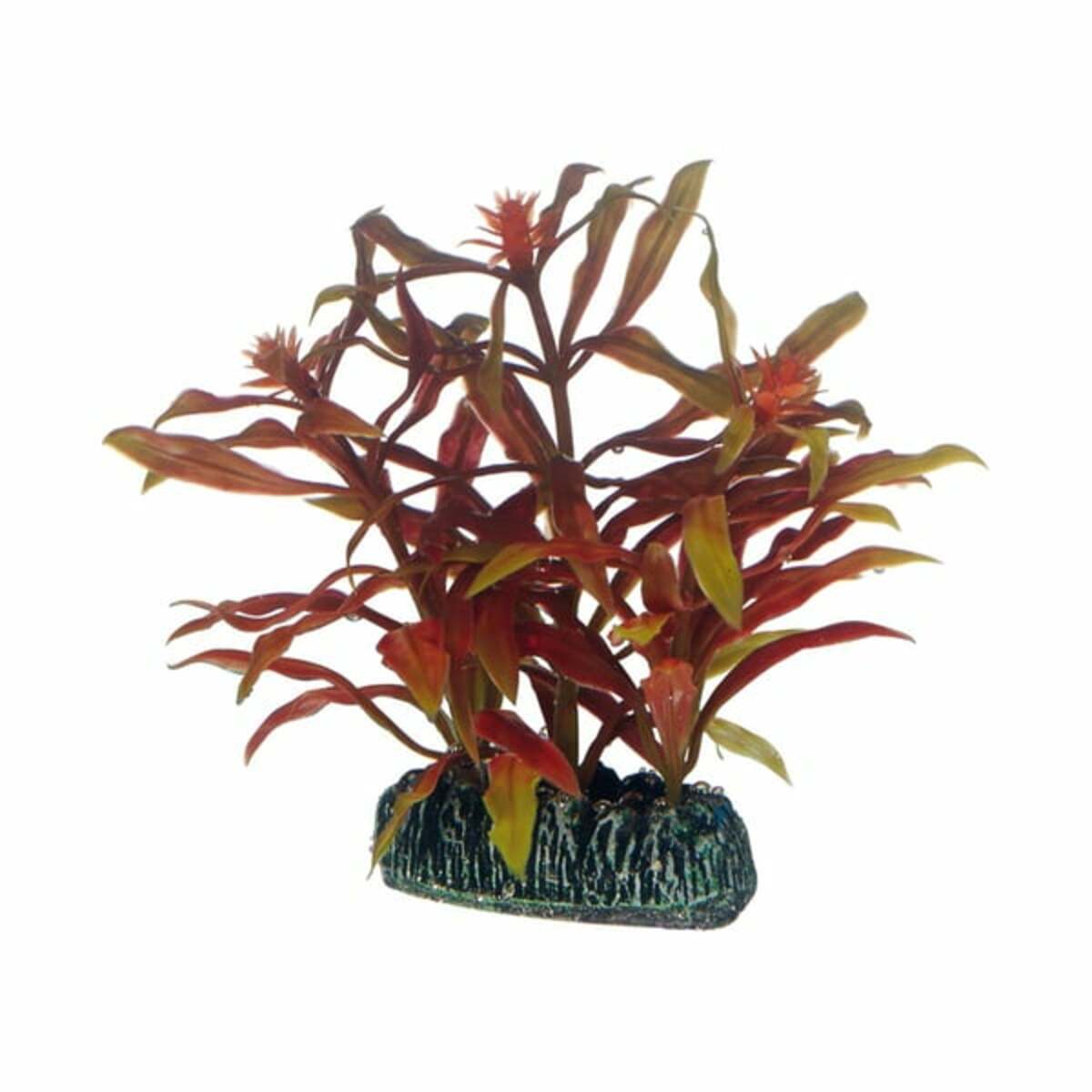 Bild 1 von Hobby Aquariumdekoration Nesaea 7 cm
