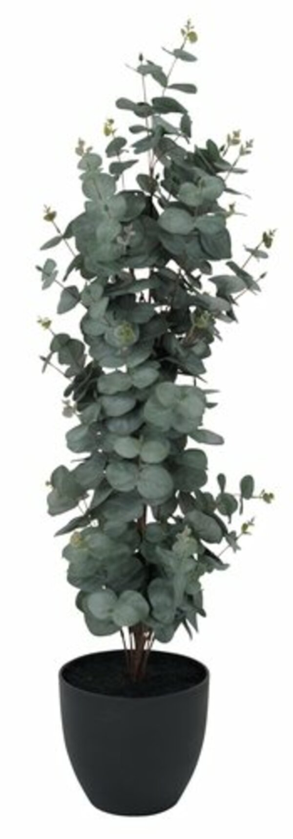 Bild 1 von Kunstpflanze RIPA H90cm grüner Eucalyptus
