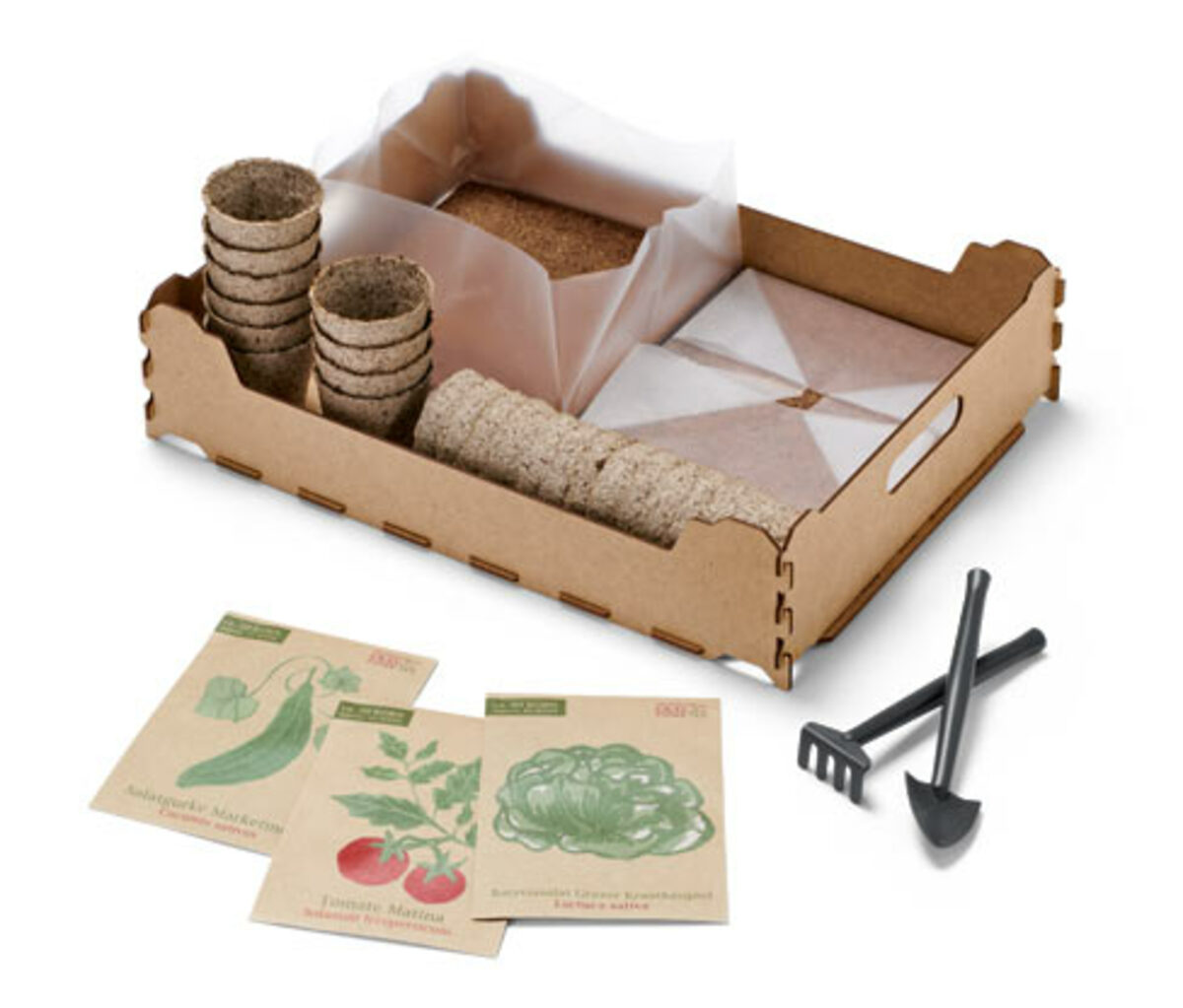 Bild 1 von Indoor-Anzucht-Starter-Set