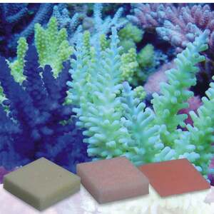korallen-zucht Automatic Elements Kaliumjodid-Fluor Konzentrat 5 Stück
