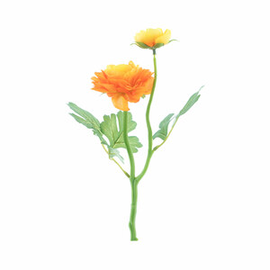 Deko-Zweig Ranunkel mit 2 Blüten 37 cm orange