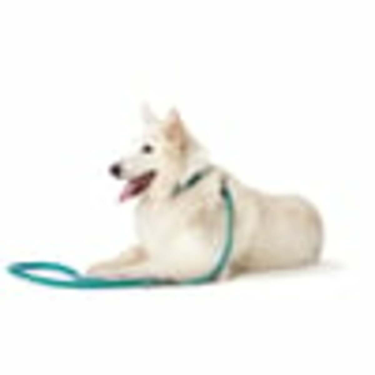 Bild 4 von Hunter Verstellbare Führleine Hilo braun 20/200