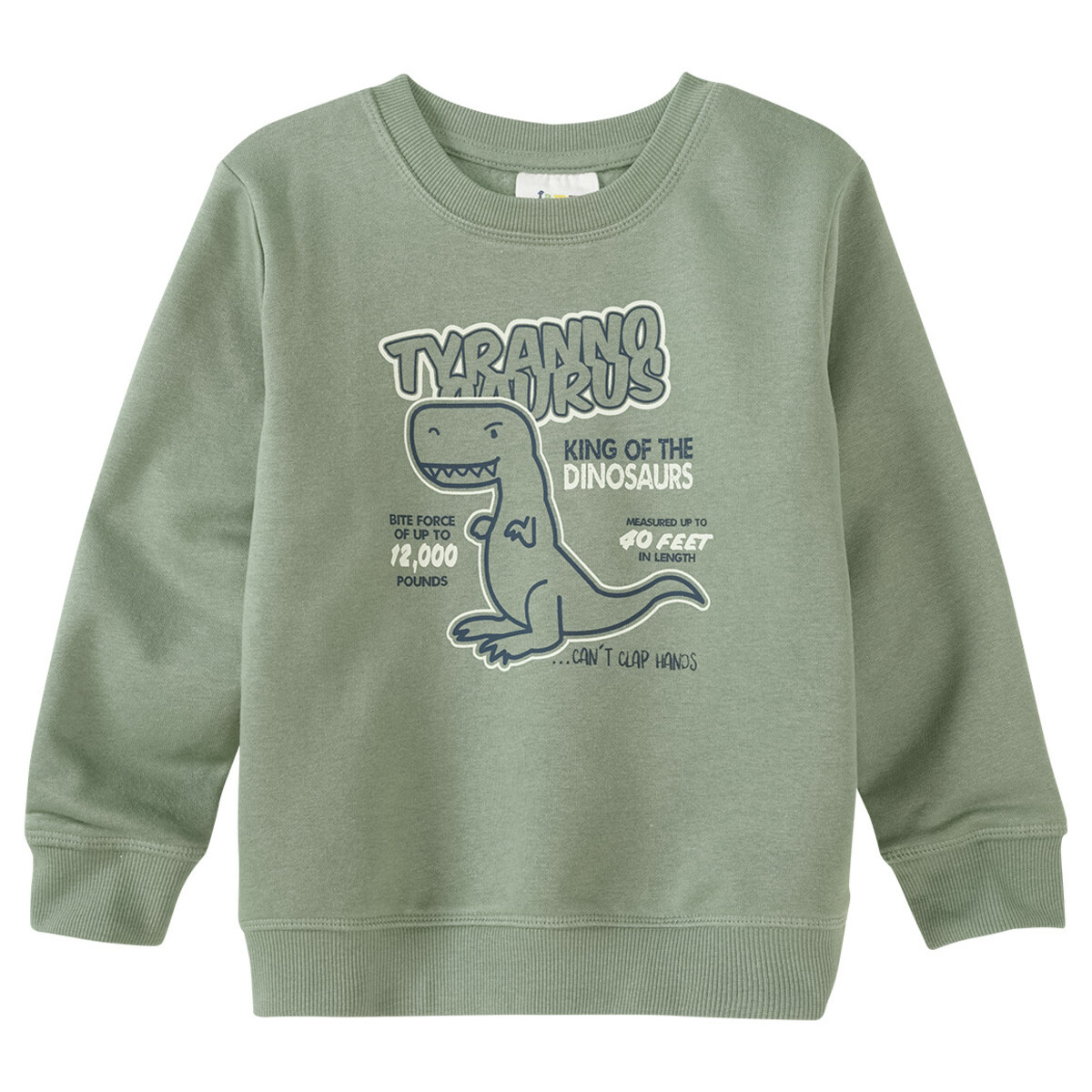 Bild 1 von Jungen Sweatshirt mit großem Print SALBEI