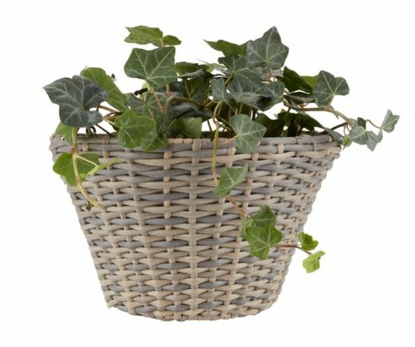 Bild 4 von Blumenampel REDDIK B18xL30xH18 div.