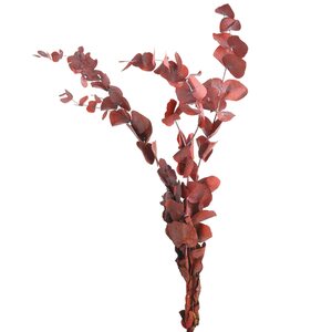 Blumenbündel Eukalyptus, L:45cm, bordeaux