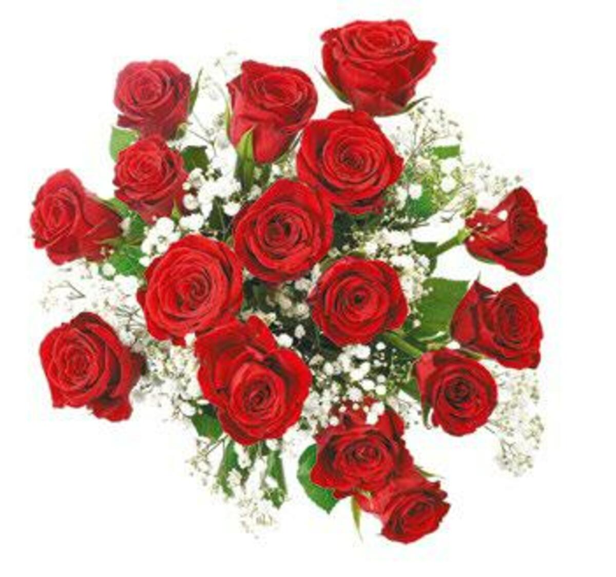 Bild 1 von Großer Rosenstrauß