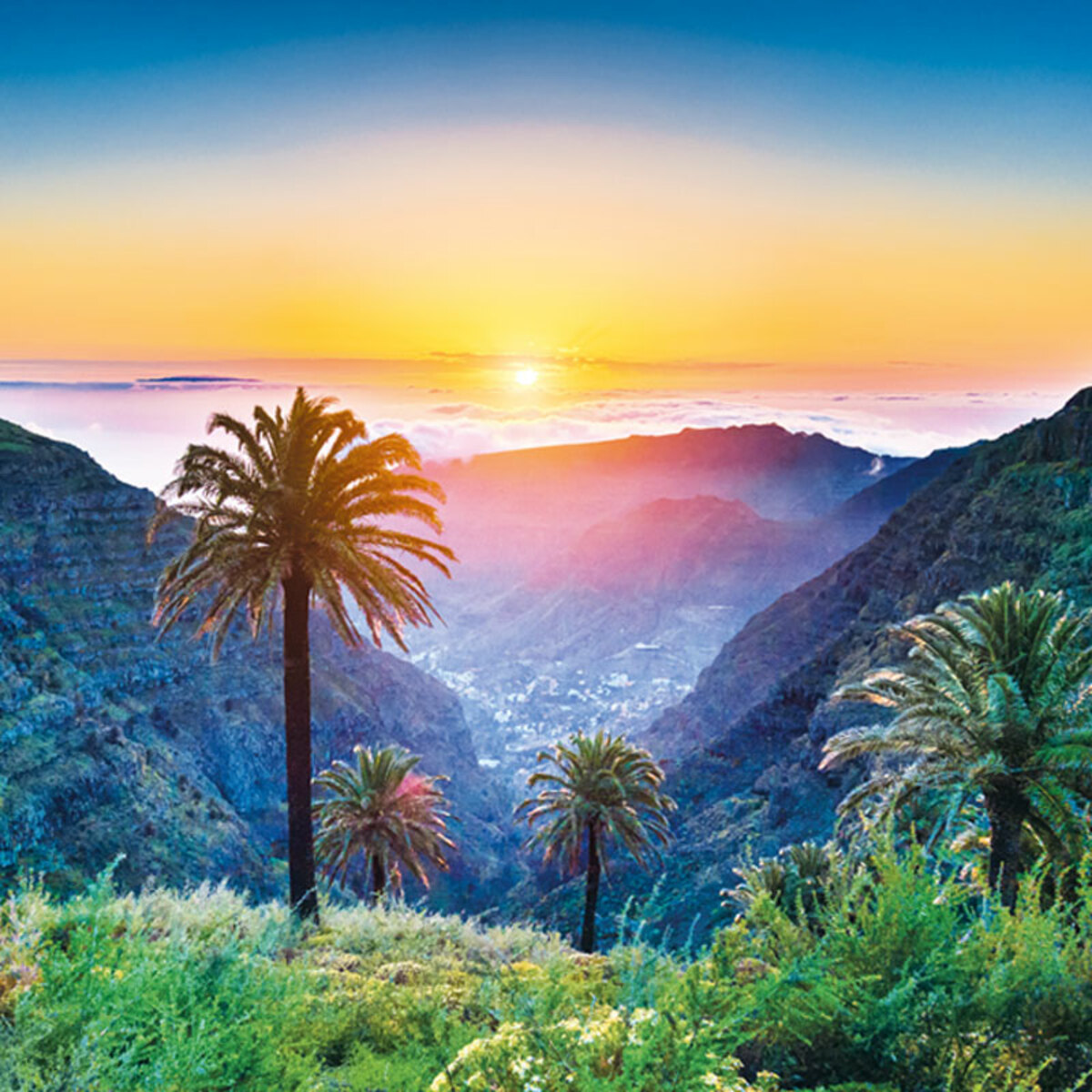Bild 1 von (K)urlaub auf Gran Canaria 2024/2025