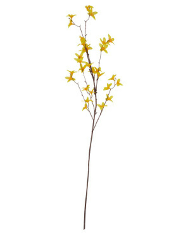 Bild 1 von Kunstblume Forsythie
       
      ca. 100 cm
     
      gelb