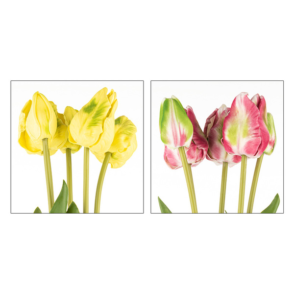 Bild 2 von Bella Casa Deko-Papageien-Tulpen 5er
