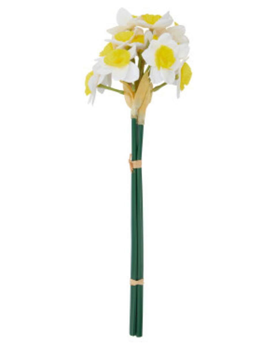 Bild 1 von Kunstblume Narzisse
       
      ca. 30 cm
     
      weiß
