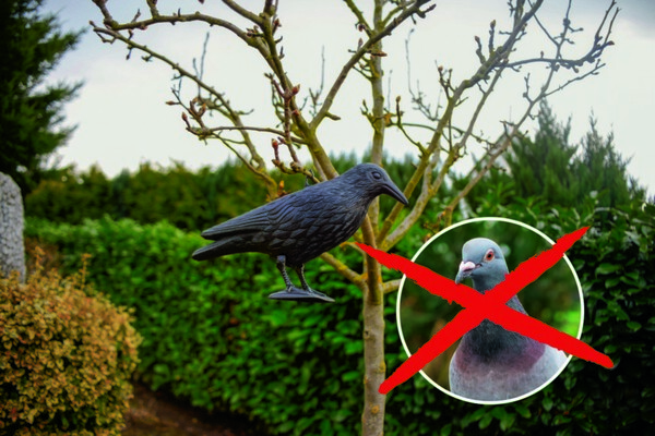 Bild 4 von Gardigo Vogelabwehr-Figur "Krähe"