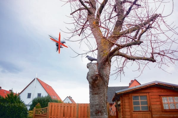 Bild 3 von Gardigo Vogelabwehr-Figur "Krähe"