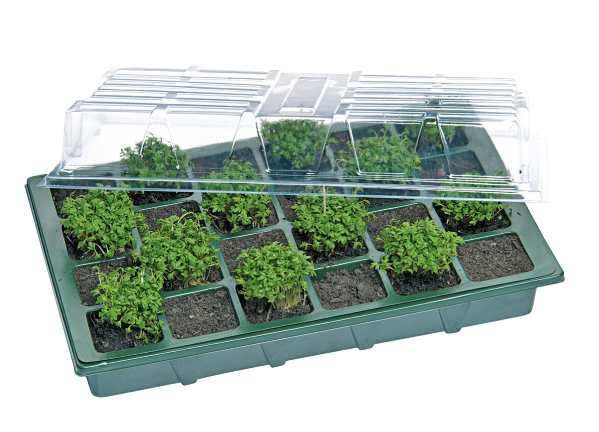 Bild 1 von Mini-Treibhaus Anzuchtschale wasserdichter Aussaatboden und transparenter Deckel