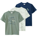 Bild 1 von 3 Jungen T-Shirts mit Dino-Prints SALBEI / HELLGRÜN / BLAU