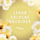 Bild 2 von febreze 3Volution Goldene Orchidee Nachfüllflakon