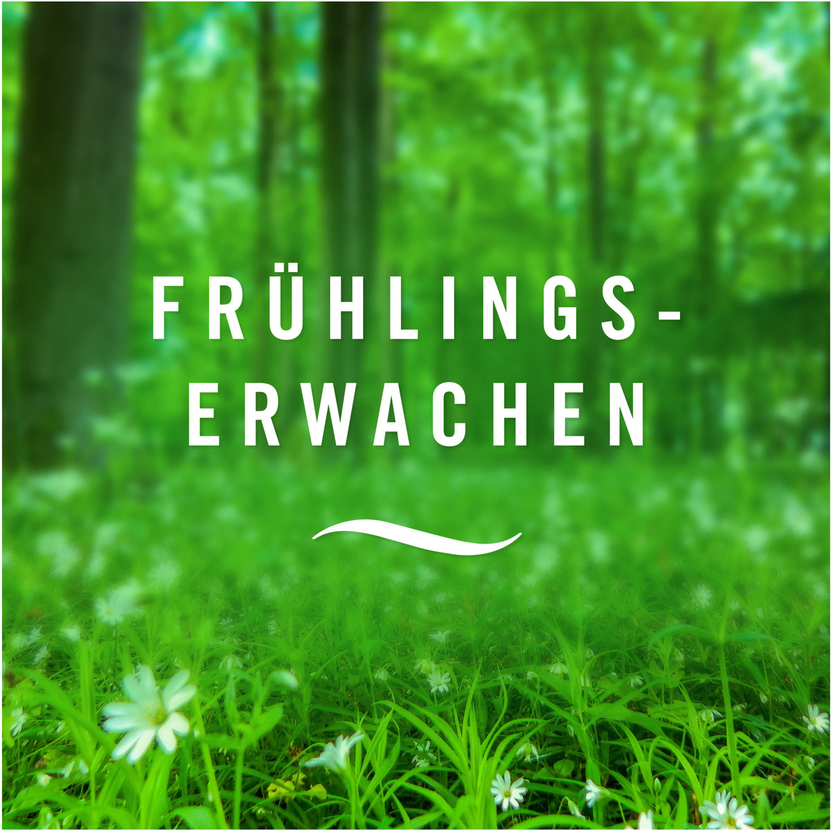 Bild 3 von febreze Bad Lufterfrischer Frühlingserwachen