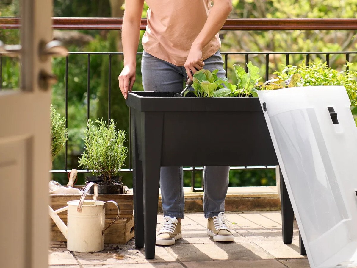 PARKSIDE® Hochbeet mit Haube, Stück von Lidl ansehen!