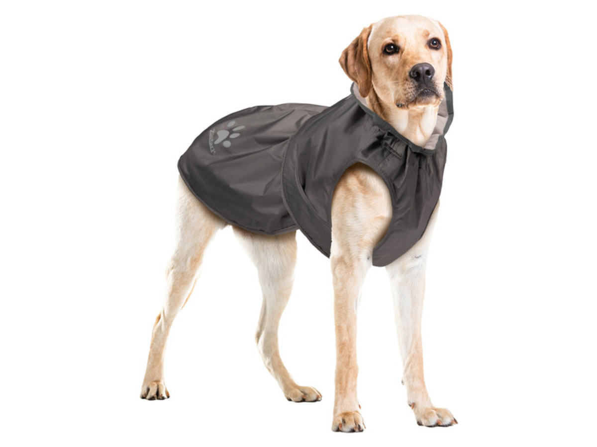 Bild 3 von zoofari® Hunderegenmantel, reflektierend