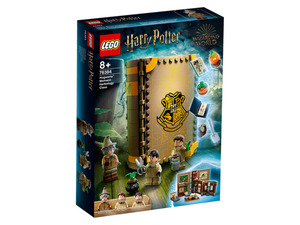 LEGO® Harry Potter™ 76384 »Kräuterkundeunterricht«