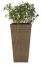 Bild 2 von Pflanzkorb BLOMMOR B36xL36xH70 natur