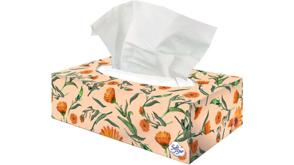 Bild 1 von SoftStar Taschentücher in Box