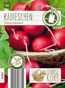 Radieschen Erfurter Riesenrot