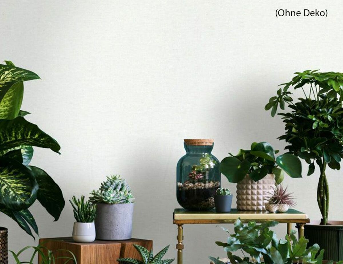 Bild 3 von Vliestapete Uni Weiß