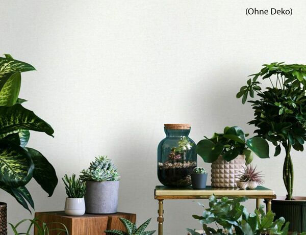 Bild 3 von Vliestapete Uni Weiß