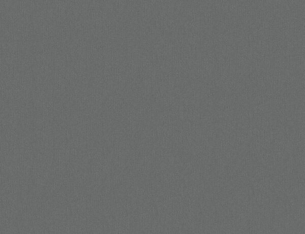 Bild 1 von Vliestapete Uni Anthrazit