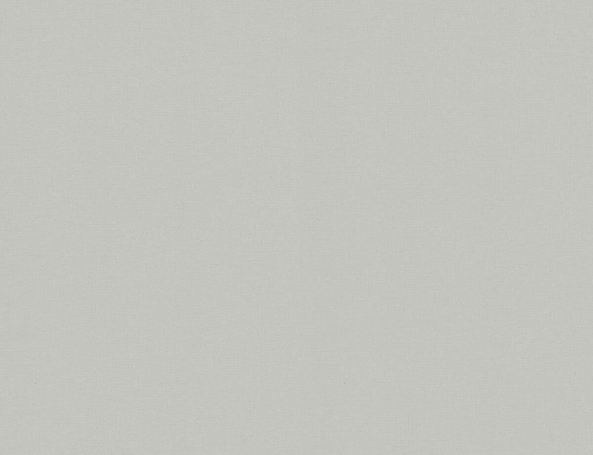 Bild 1 von Vliestapete Uni Greige